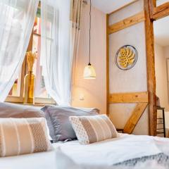 Au Petit Lion, Colmar centre Garage gratuit