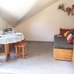 Studio Mezzanine 4 Pers, Proche Pistes et Commerces, Balcon Est, Animaux Bienvenus - FR-1-330-530