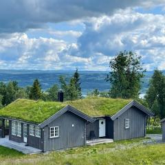 Bergestua - 4 bedroom cabin