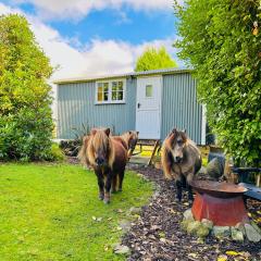 Miners Hut