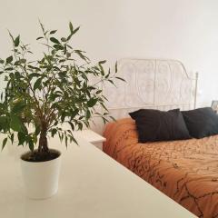 gran piso luminoso en el centro de leon