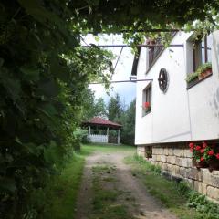 普拉科沃斯克岩旅館