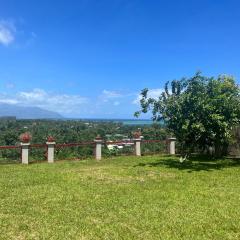 Mataiea Villa view