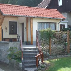 Eichhörnchen Wernigerode