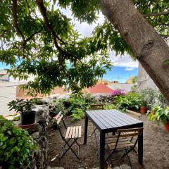 Secret Spot Santa Cruz