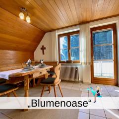 Ferienwohnung Blumenoase - gemütliche Ferienwohnung zwischen Allgäu und Bodensee