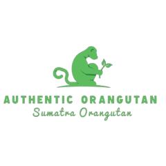 Orangutan Treking Camp