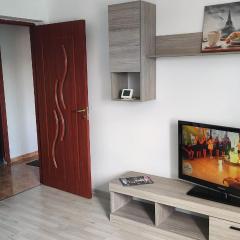 Apartament 2 Camere Decomandat