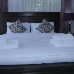 Kijivu suites3 Mateves 2-1 Bedroom Apartment