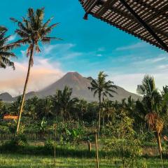 Nyawang Merapi