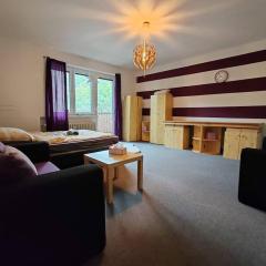 Apartment STAR Brno with terrace 5b