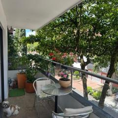 Casa del Arbol Apto. 301