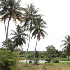 Kadupitioya Bungalow