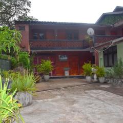 Lion Guest Anuradhapura