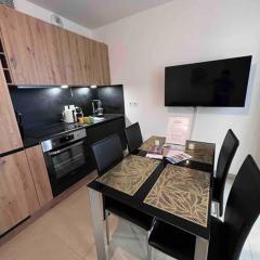 Le Cosy Corner : Apt 2 pers de standing + Terrasse