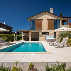 Modern villa Vallis with pool and jacuzzi in Porec