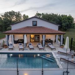Modern villa Bibali Istra with pool in Buje