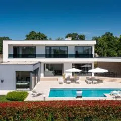 Modern villa Blanka with pool and grill in Tinjan