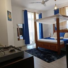 Affordable neat studio furnished apartment in Mtwapa