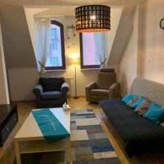 Spacious 2-rooms penthouse in Warsaw city center