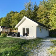 Smaller cabin in wonderful forest environment