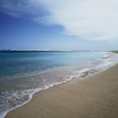 Wonderful beach bungalow in the south.