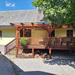 Holiday home in Metlika - Kranjska (Krain) 45879