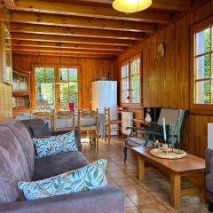 Chalet familial proche des pistes avec WiFi et parking - FR-1-623-349