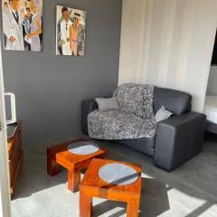 Appartement Studio 35 m2 face à l'Ocean