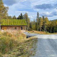 Amazing Home In Kittelfjll With House A Mountain View