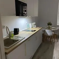 Nikifor Apartamenty Krynica-Zdrój