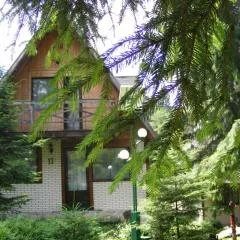 Traveland Alpina Family Maisonette Poiana Brasov