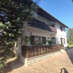 Holiday home in Balatonboglar 45807