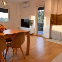 Apartman TENA, Free private parking, blizina KBC Osijek