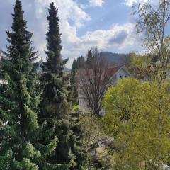 Ferienwohnung Kleines Nest