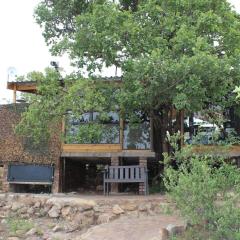 Luxury Treehouse on Bronberg Ridge