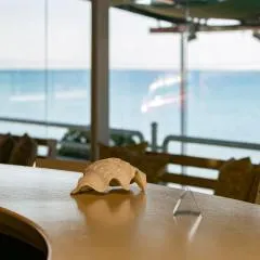 Bora Bora Pydna Hotel