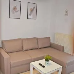 Center River Apartment