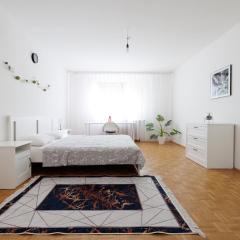 Cozy, spacious and charming 4 bedrooms apartament