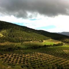 Casa Dehesa San Cristóbal, Jaén