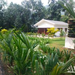 Family Cottage at Merlys Fruit Garden, Thattekkad