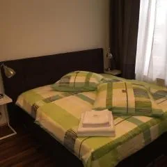 Elbsandstein Apartments Altstadt