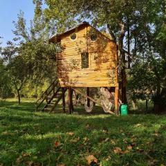 Apple Tree Cabin (Friendship Land)