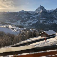 Apartment Penthouse Brugg by Interhome