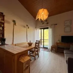 Appartement T2 Duplex, front de neige, 6 pers, balcon, box à skis, Super-Sauze - FR-1-165A-132