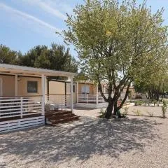Camp Ana