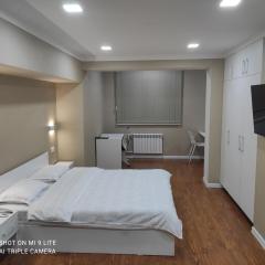 1-bedroom Apartment in the very city center (Shedevr)