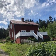 Huset i skogen med utsikten