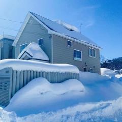 Niseko Powder fox