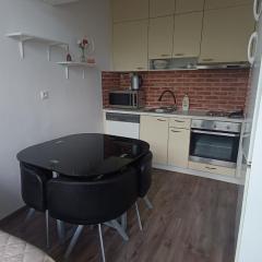 2 room Apartment, 413
